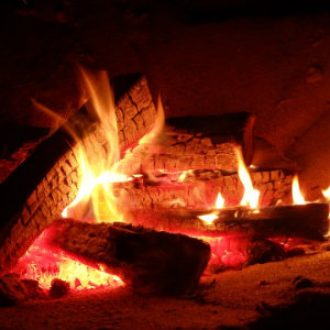 campfire logs